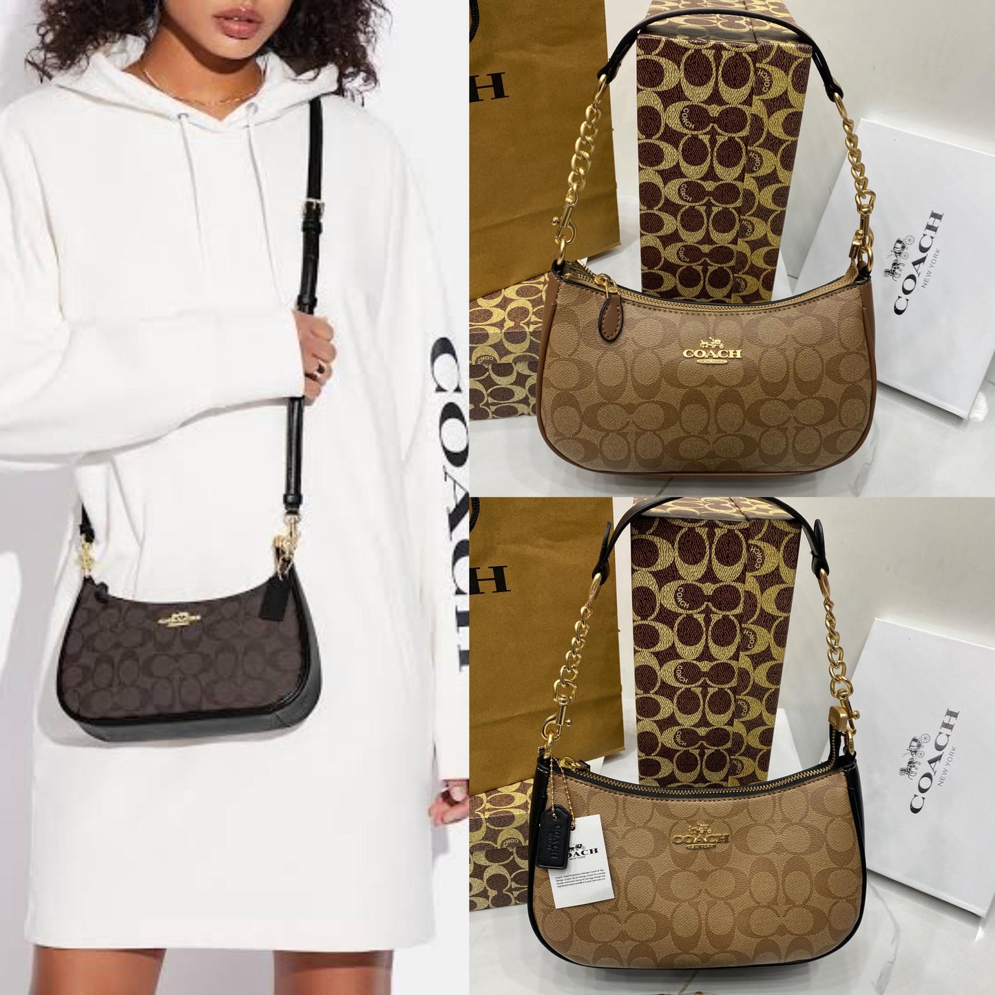 Coach Teri Shoulder Bag in Signature Canvas – Model CA548