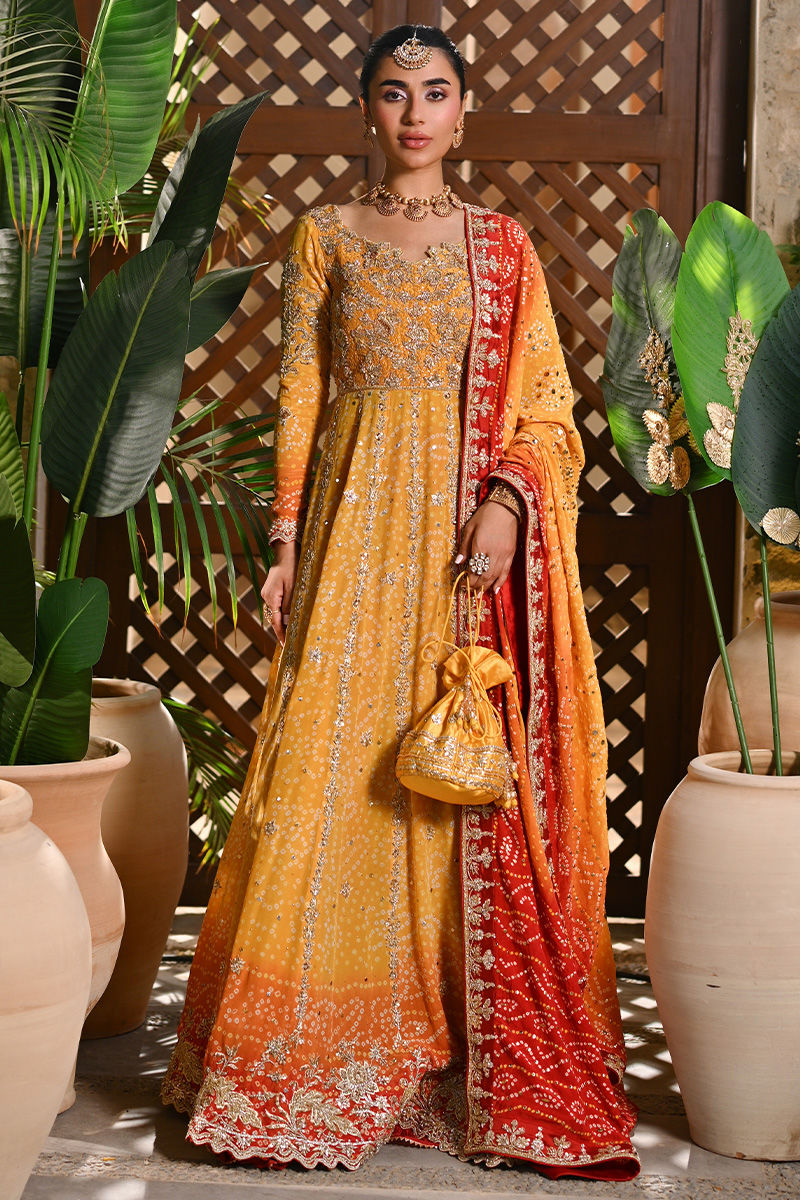 Pure Chiffon Embroidered Wedding Chunri Dress - WW489