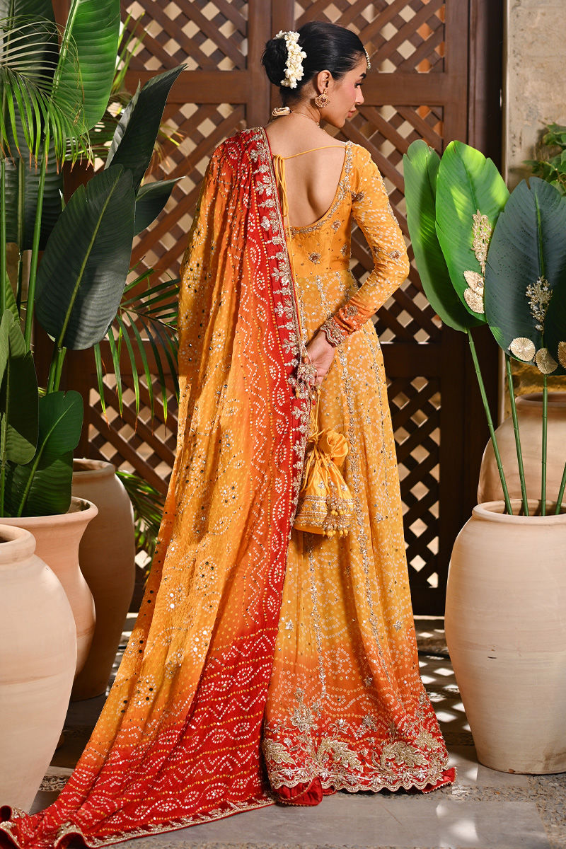 Pure Chiffon Embroidered Wedding Chunri Dress - WW489