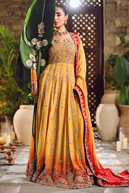 Pure Chiffon Embroidered Wedding Chunri Dress - WW489