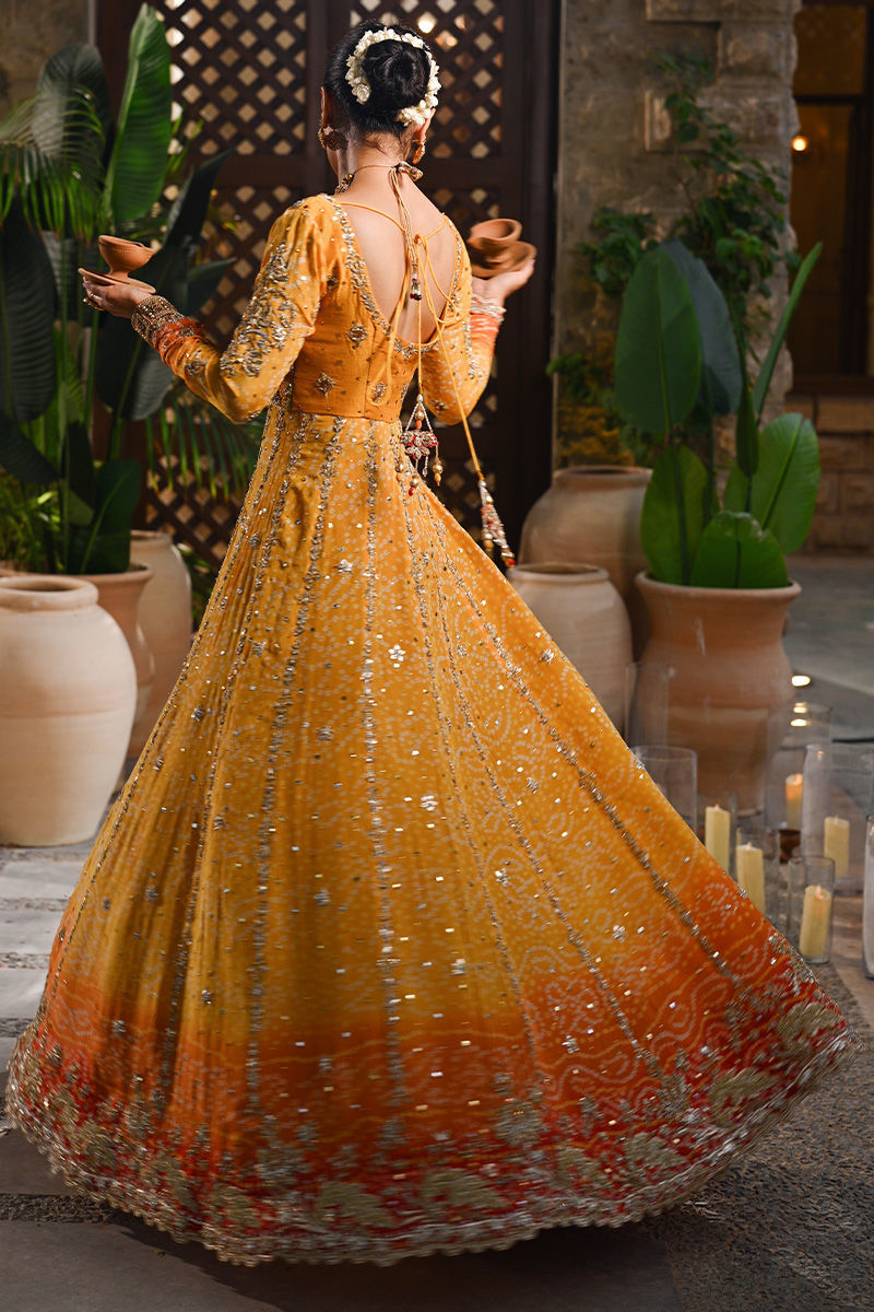 Pure Chiffon Embroidered Wedding Chunri Dress - WW489